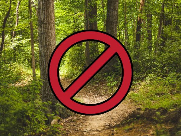 Цивільним заборонено заходити чи в'їжджати в ліси на Київщині